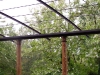 pergola_2